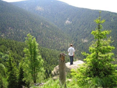 Abis Hotel Bystrzyca Klodzka Bagian luar foto